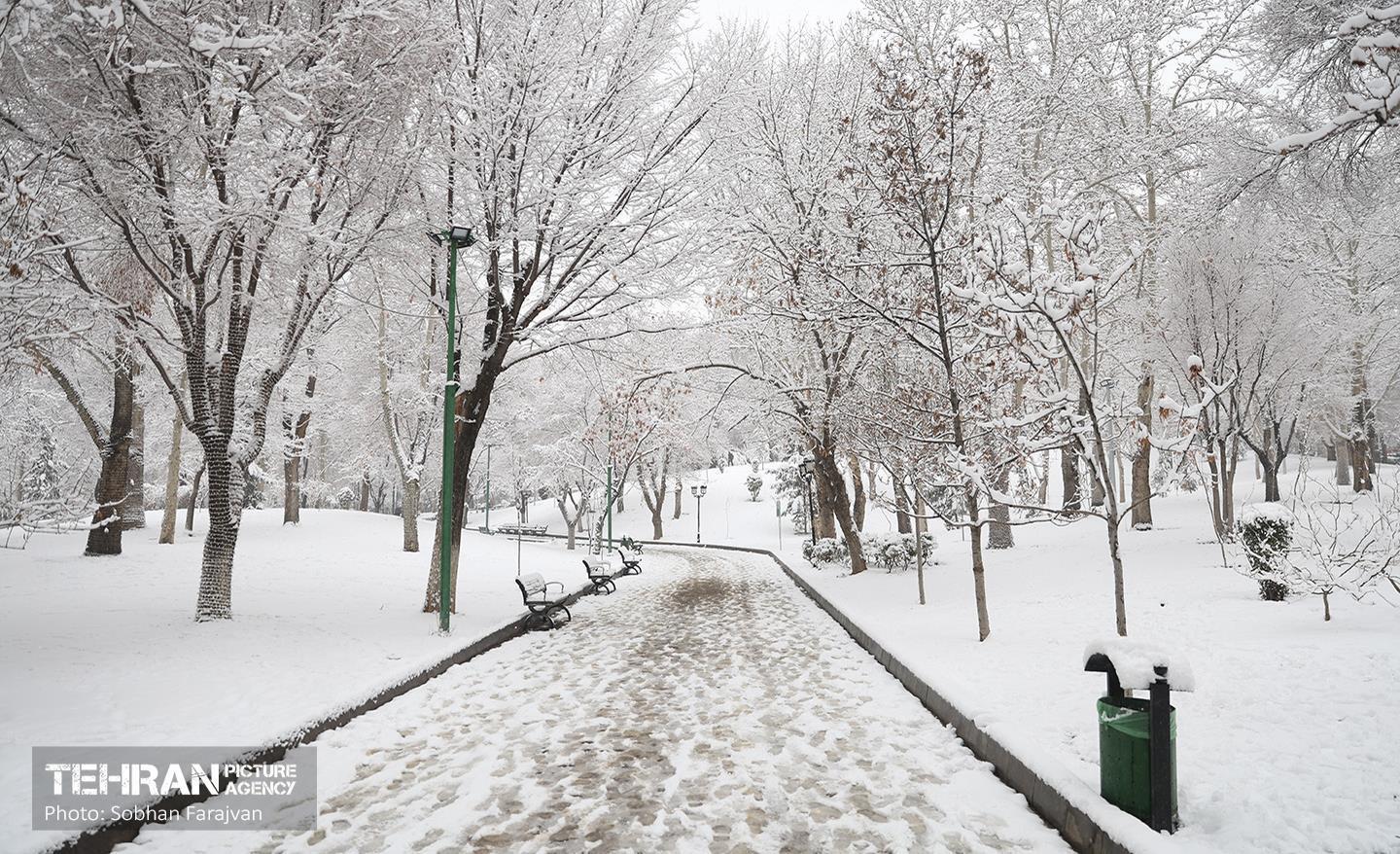 تهران برفی 4